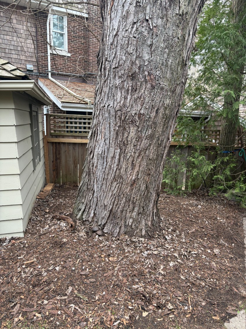 After yard cleanup