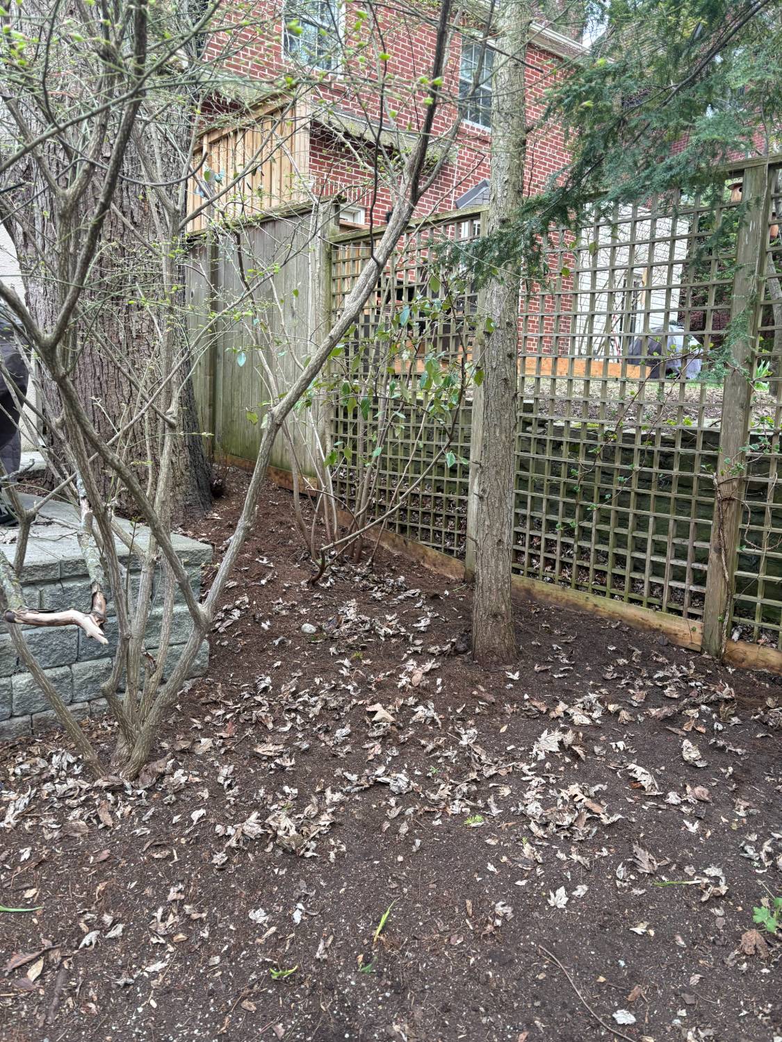 After leaf removal