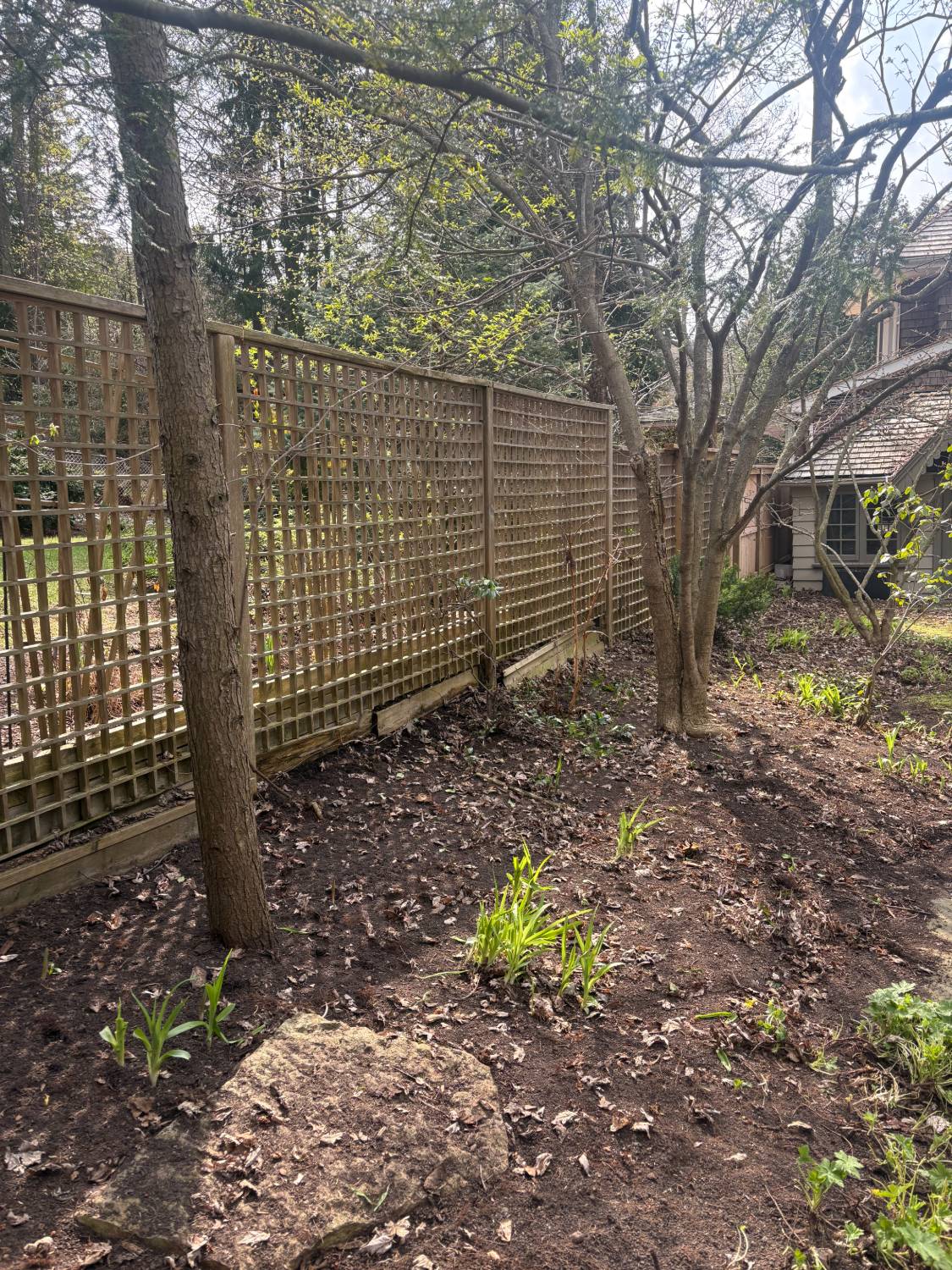 After yard cleanup