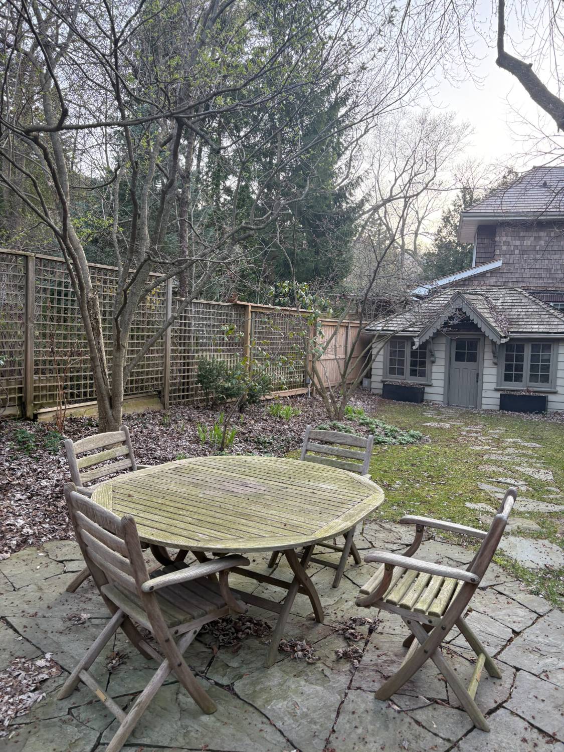 Before yard cleanup